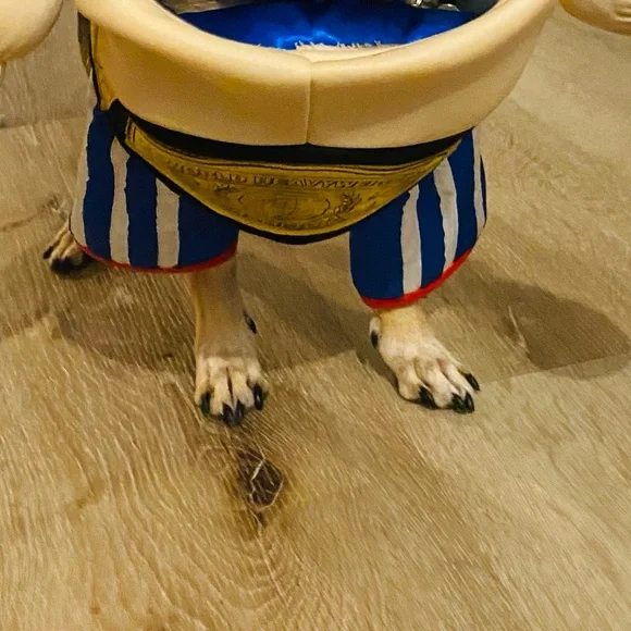 EUC [Halloween Costumes] Pro Boxer + Belt Dog Cat Pet Halloween Costume Sz Small - Picture 8 of 10